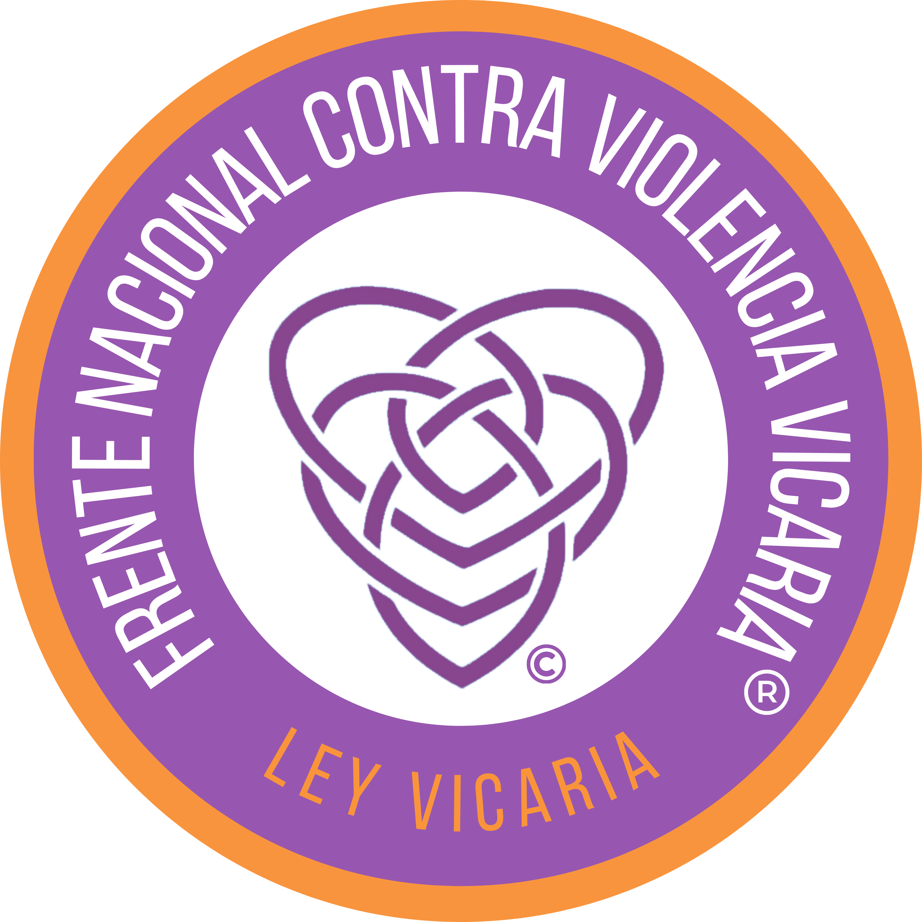 Frente Nacional Contra Violencia Vicaria
